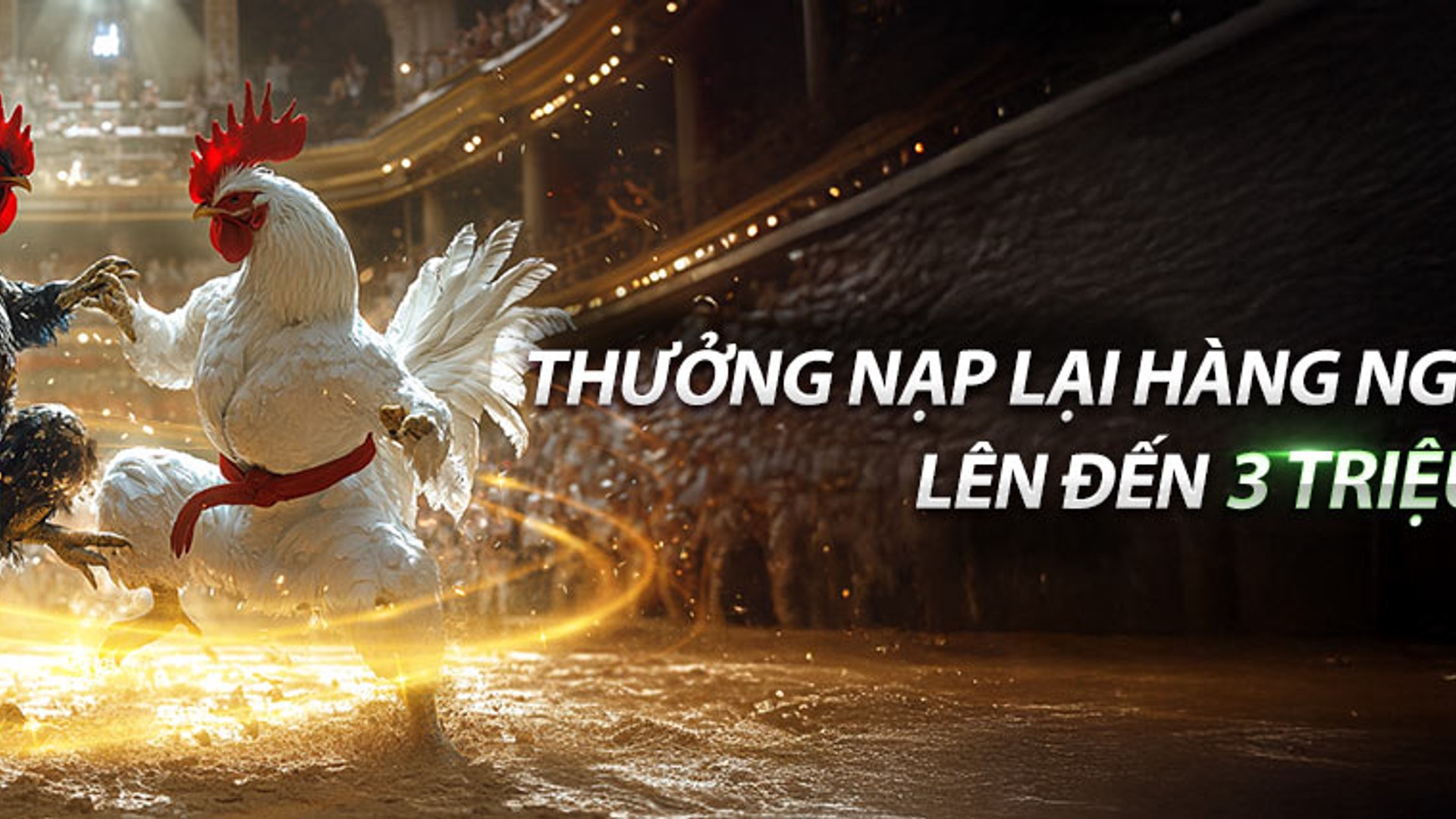 Hình ảnh minh họa chương trình giới thiệu bạn bè VZ99